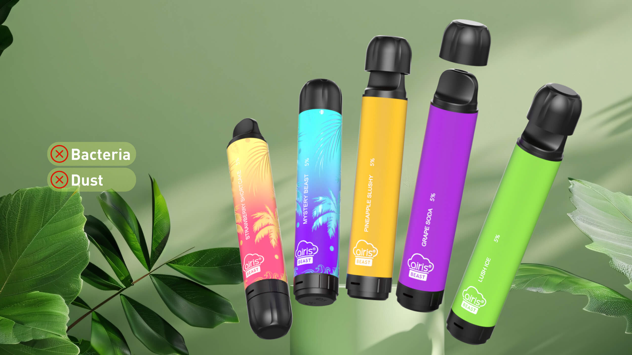 airis beast Functional Description 5