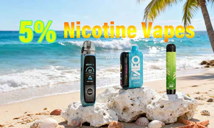 Best 5% Nicotine Disposable Vape 2025